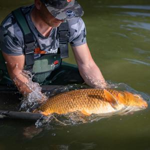Carp/Bass