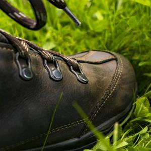 Hiking Shoes