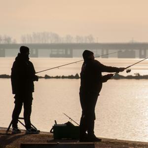 Fishing Rods
