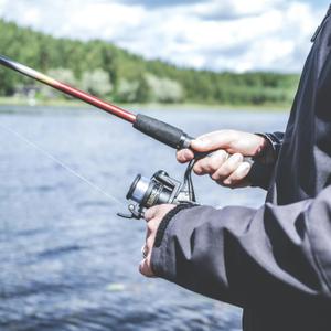 Reels