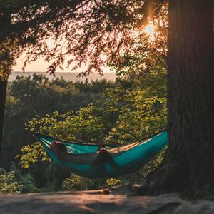 Mattresses & Hammocks
