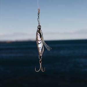 Baits