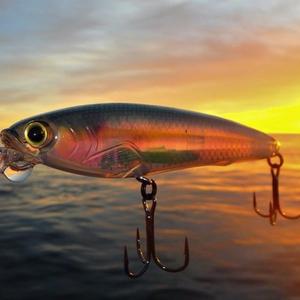 Hard Lures