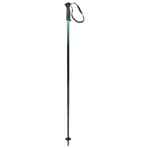 381164-ski-poles-head-frontside-black-green