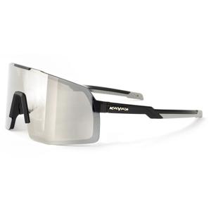 728231-bike-goggles-hiplok-2976-grey-one-size