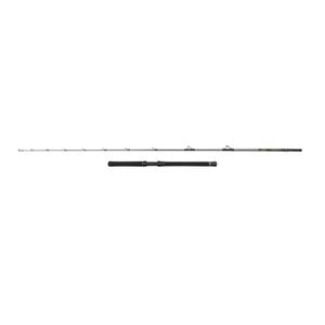 1620465-spinning-rods-penn-regiment-iv-halibuster-20-30lb-silver-2-40-m