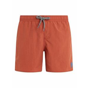 2810000-368-children-s-swimming-shorts-protest-culture-clay