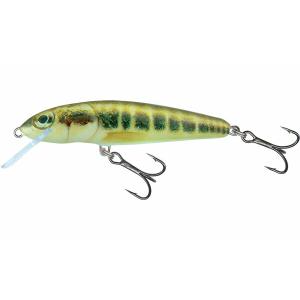 qmw027-floating-lure-salmo-minnow-6g-multicolour-7-cm