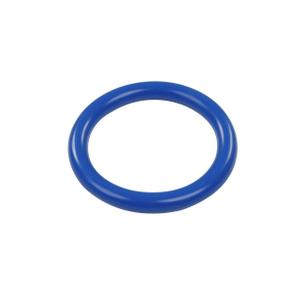 w7542-01-diving-ring-togu-blue-16x12-cm